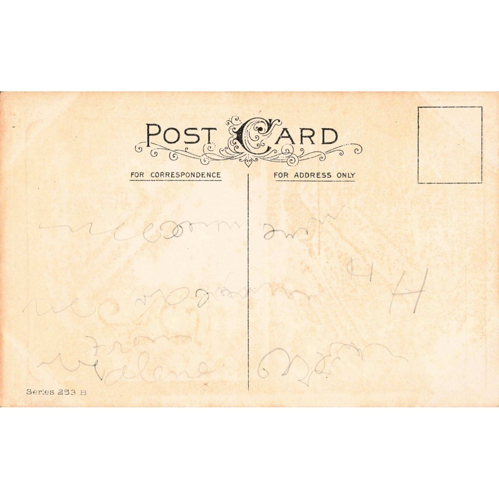 Antique Thanksgiving Postcard Turkeys Corn Fruit Series 253 B Divided Back G - Picture 2 of 2